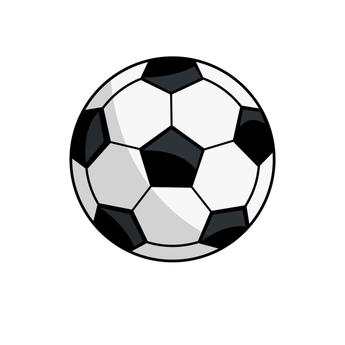 Aguero and Balotelli witness Man City's title win before Boca Juniors president receives news: Mario wants to join you!