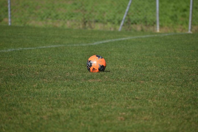 Probierz resigns as Poland manager after Lewandowski dispute
